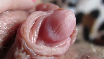 Get Up Close And Personal With My Huge, Throbbing Clit