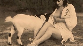 Classic Taboo: Pussy And Dog Play In A Vintage Setting